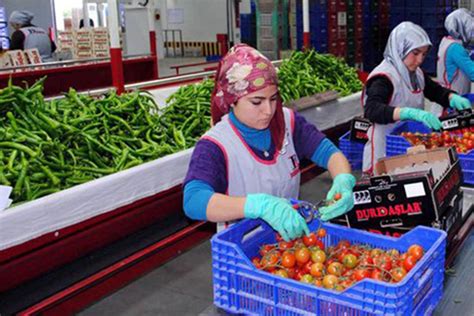 Antalyada Sebze Miktarı Azaldı Fiyatlar Arttı